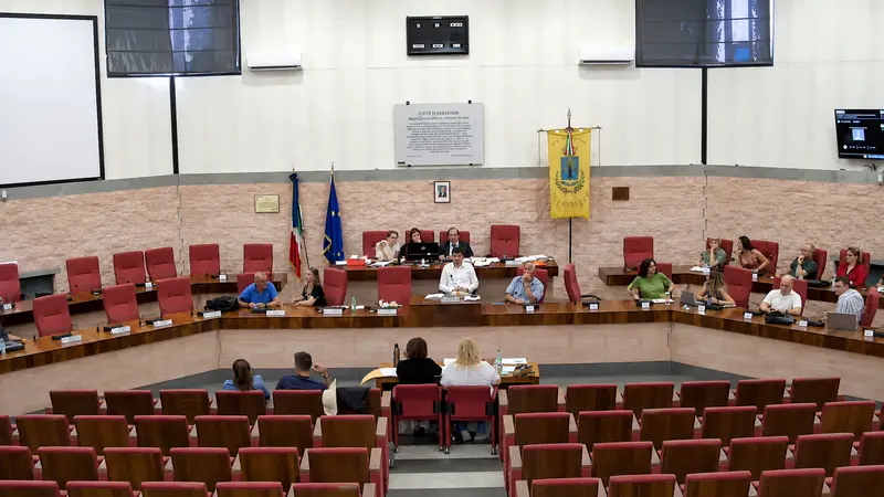 consiglio CV opposizione fuori