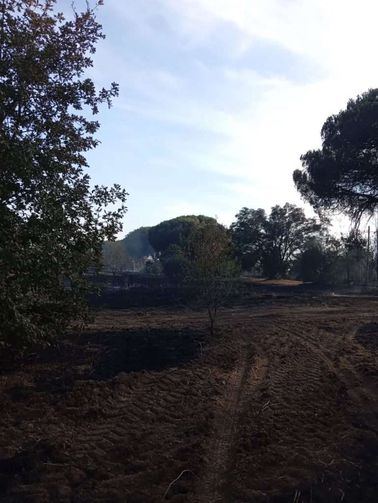 Incendio ad Anguillara e Cesano: doppio intervento della Protezione Civile