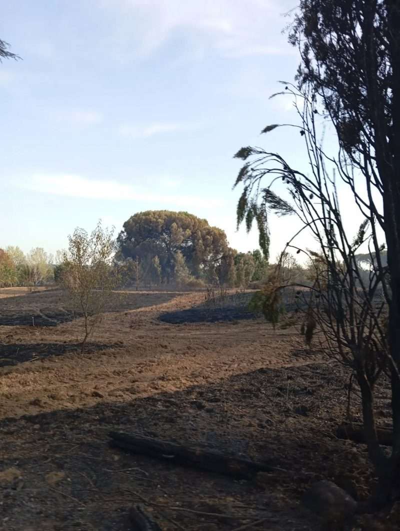 incendi