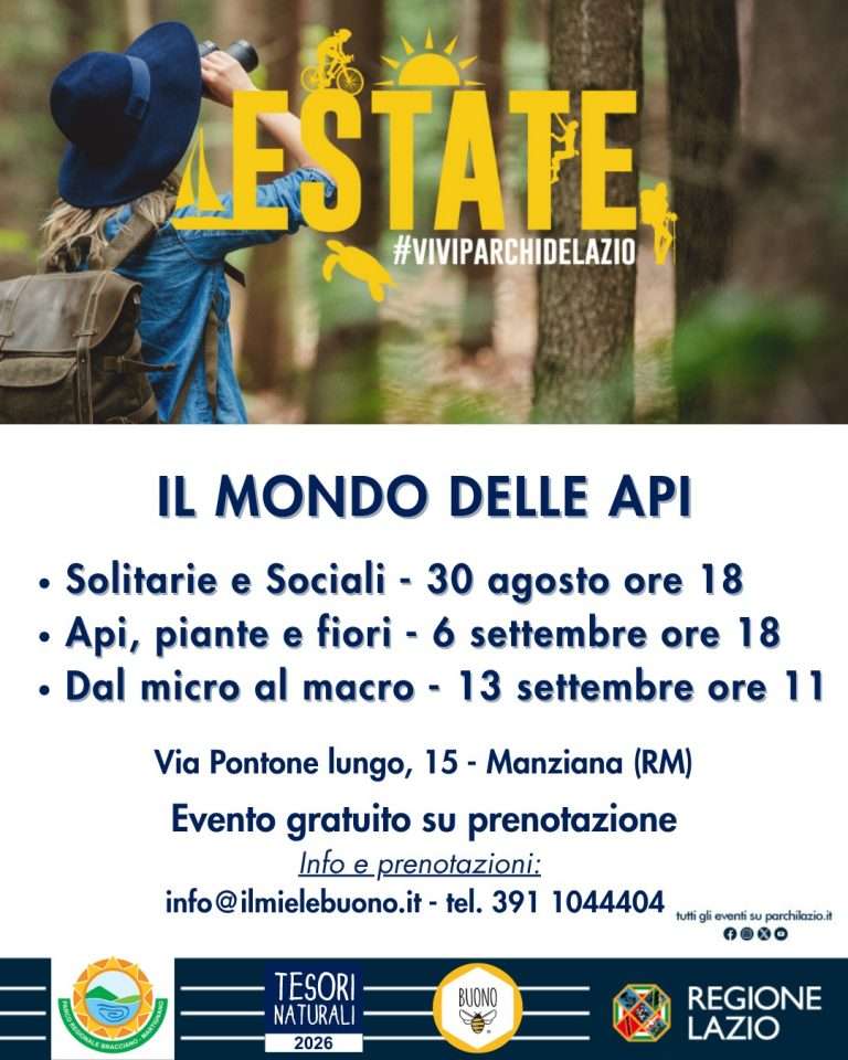 manziana locandina api