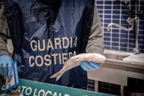 Pesca, controlli a Civitavecchia: multe per 8mila euro