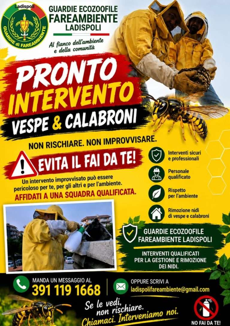 Nidi di vespe e calabroni, allarme a Ladispoli: “No al fai da te”