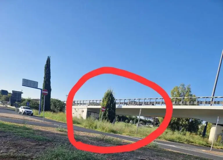palidoro erba alta