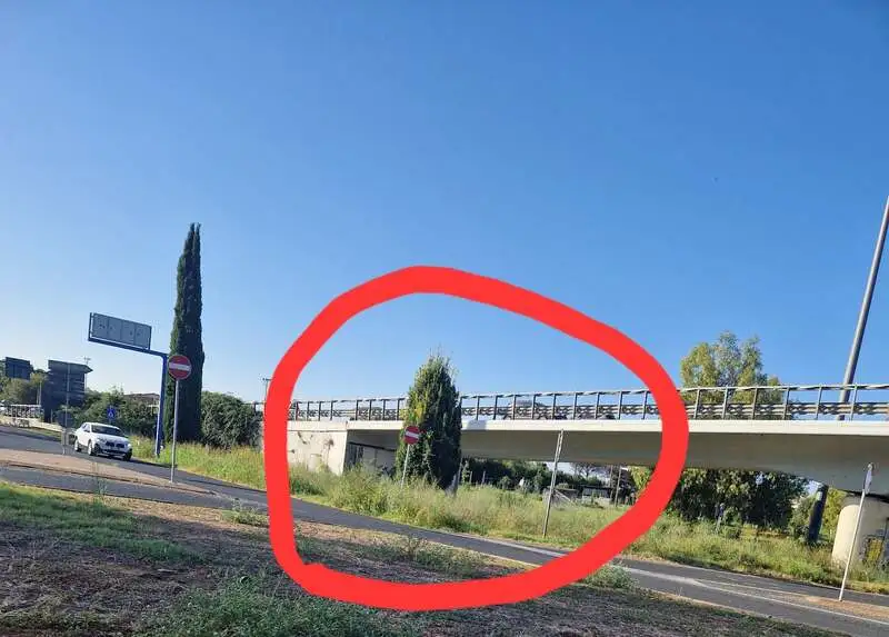 palidoro erba alta