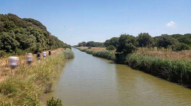 Fiumicino celebra la natura: 30 anni di Riserva e 40 di Oasi
