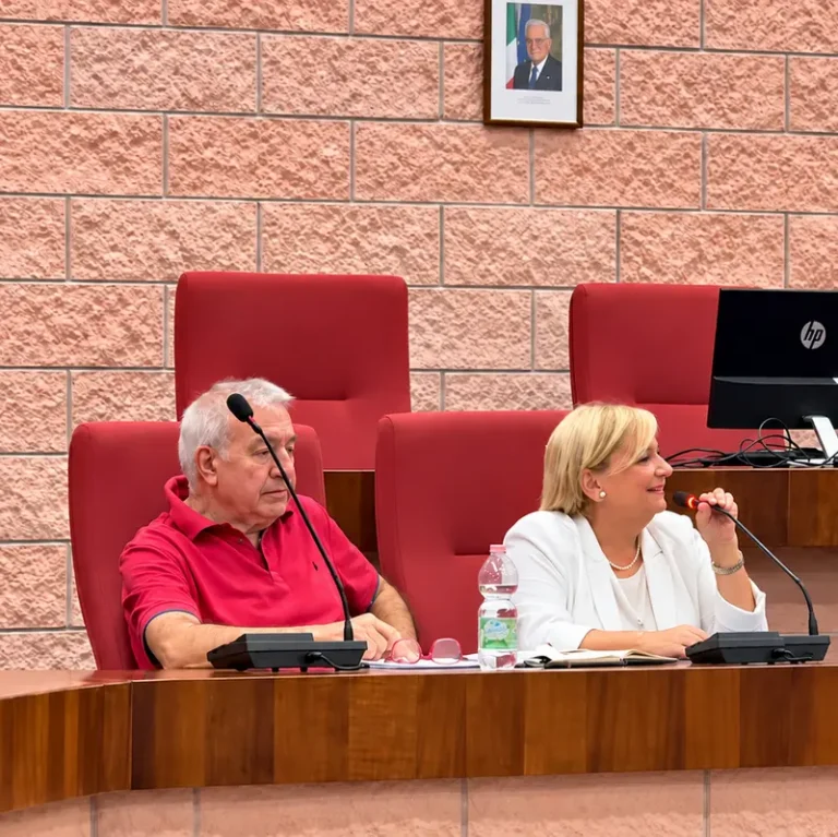 Seduta consiliare nella sala ist