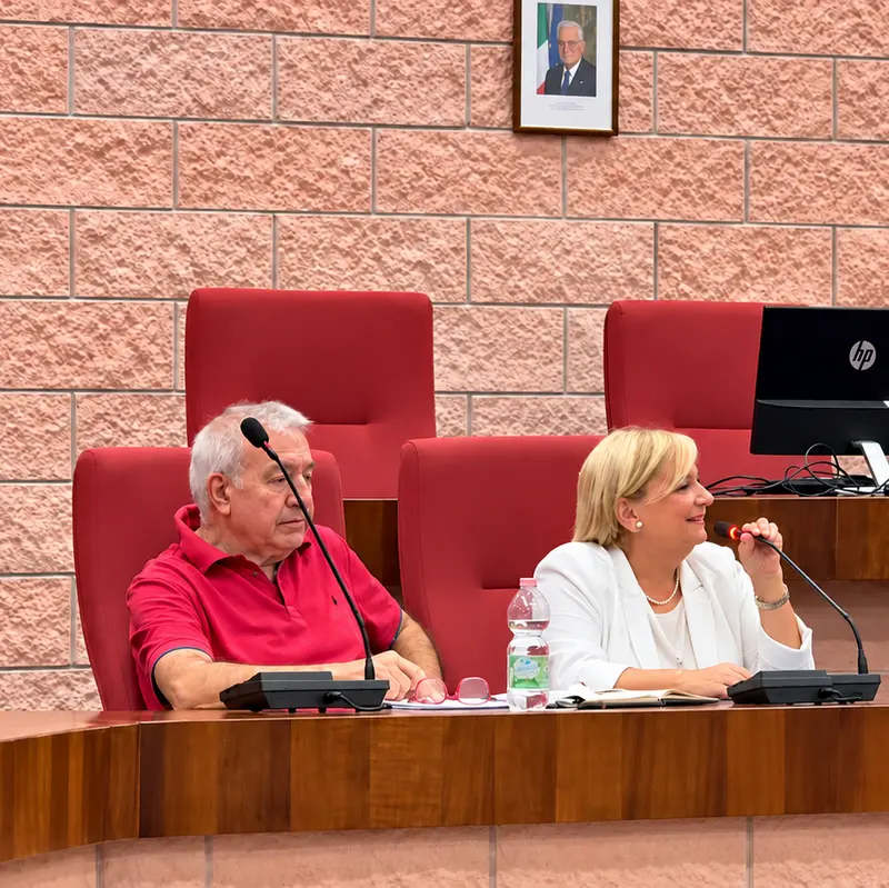 Seduta consiliare nella sala ist