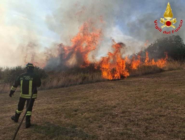 Civitavecchia, vasto incendio in zona Le Larghe: fiamme vicino alle abitazioni