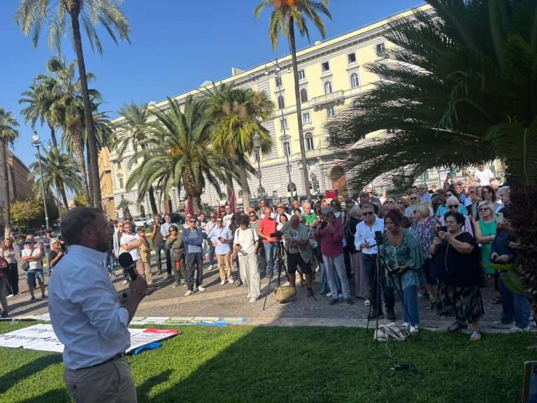 Pini di Roma, è allarme: associazioni contro gli abbattimenti
